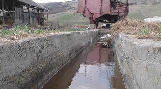 Copilaș de 5 ani, mort după ce s-a înecat într-un canal colector la Aștileu, în Bihor. Micuţul era la scăldat