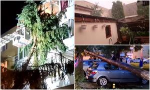 "Am zis Doamne fereşte, vine sfârşitul!" O vijelie puternică a pus la pământ zeci de copaci în Targu Mureş