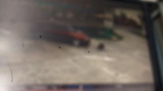 Tânăr din Ialomiţa, reţinut după ce a ucis intenţionat un câine cu maşina, într-o benzinărie. Momentul, filmat