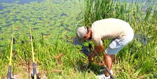 Liniște, relaxare și undițe în apă. Bălțile din jurul Capitalei, pline de pescari de Rusalii