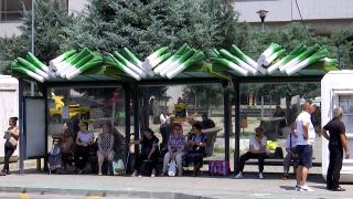 Staţiile de autobuz din Craiova, acoperite cu decoraţiuni în formă de praz