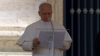 Papa Leon are rude celebre. Suveranul Pontif ar fi verişor cu Madonna, Angelina Jolie şi Justin Bieber