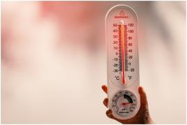 Temperaturi record în Europa. Specialiști: canicula ar poate ucide sute de oameni în Marea Britanie