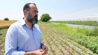 Roşii româneşti din 3 pieţe, duse la analize. Doar într-un singur loc n-au fost pline de pesticide