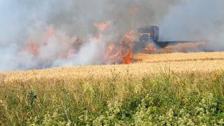 Incendii devastatoare în Oltenia. Sute de hectare de grâu distruse, fermierii pierd tot înainte de recoltă