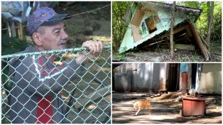 Tabăra Ciric din Iași, în paragină. Acum e casă pentru oamenii străzii şi câinii vagabonzi: "În ultimul hal"