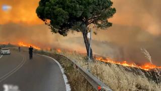 Şapte turci, arestaţi în Grecia. Sunt bănuiţi că ar fi provocat incendii de vegetaţie în Insula Chios