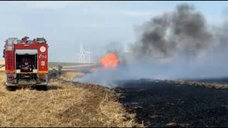 10 hectare dintr-o cultură de orz din Tulcea s-au făcut scrum, după o ţigară aprinsă, aruncată la întâmplare