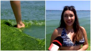 Reacția unei turiste din Mexic după ce a văzut invazia de alge de pe litoralul românesc