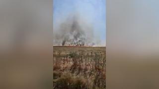 Trafic dirijat pe E87, aproape de Babadag, din cauza incendiilor de vegetaţie. Flăcările ameninţă gospodării