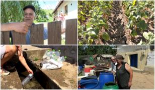 Trei judeţe din România se luptă cu seceta. Fermierii prinşi că udă grădinile riscă amenzi şi de 30.000 lei