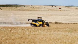 Recoltă record de grâu în România, dar fermierii pierd teren: prețul rămâne blocat, iar pâinea vine din import