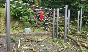 Tânăr de 27 de ani, mort după ce un copac a căzut peste el pe Aleea de sub Tâmpa, în Braşov