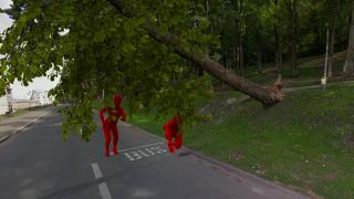 ANIMAŢIE. Tânăr de 27 de ani, mort strivit de copac în Braşov, în timp ce se plimba cu o prietenă