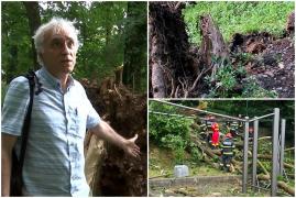 Tragedia de pe Aleea de sub Tâmpa, unde un tânăr a murit, ar fi putut fi evitată. Explicația unui silvicultor