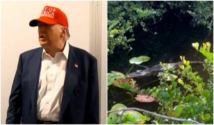 O închisoare înconjurată de prădători, noua soluție anti-imigranţi a lui Trump. Reacții dure în Florida