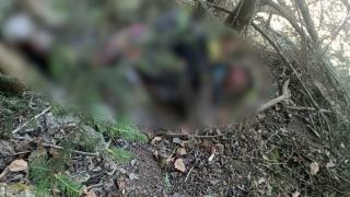Un motociclist italian a fost omorât de urs pe Transfăgărăşan. Cadavrul, descoperit în pădure