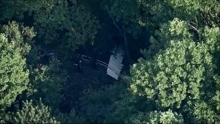 Miracol după un incident aviatic în SUA. Un avion s-a prăbuşit într-o pădure, toţi pasagerii au supravieţuit