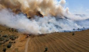 Incendii masive de vegetaţie în toată ţara. Au ars peste 500 de hectare de grâu, în Tulcea