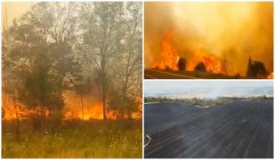 Peste 60 de hectare de pădure şi culturi, distruse în Mehedinţi de incendiile de vegetaţie