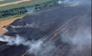 Incendiile de vegetaţie fac prăpăd în toată ţara. La Chilia au fost chemate elicopterele  Black Hawk