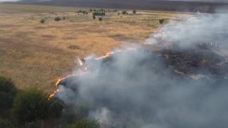 Incendii de vegetație scăpate de sub control în Mehedinți, Tulcea și Dolj: "A ars tot aici"