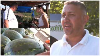 Cum aleg pepenele perfect Corneliu şi Nicu, doi fraţi din Gottlob, patria lubenițelor din Vest: 