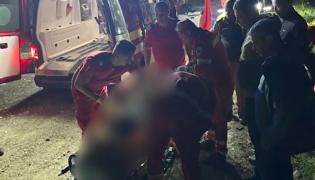 Cioban din Argeş, atacat de urs. Bărbatul de 68 de ani a fost găsit după cinci ore de căutări