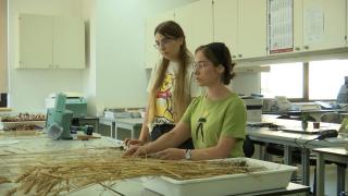 Câţi bani iau lunar studenţii care au prins posturi la internshipul de vară al facultăţii. E bătaie pe locuri