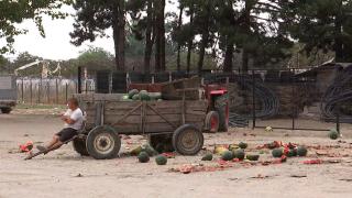 Afacerea care se apropie de colaps în România. Producătorii au nevoie de subvenţii de la stat ca să reuşească