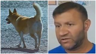 Copilaş de 3 ani din Galaţi, sfâşiat de câinii vagabonzi. Rudele, în stare de şoc: "Îl văd mâncat, căzut jos"