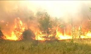 Incendiile de vegetaţie fac ravagii în Mehedinţi. Fermierii sunt disperaţi: focul le poate distruge recoltele