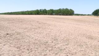 Sahara Olteniei se extinde într-un ritm alarmant. În sudul ţării se pierd anual 1.000 de hectare arabile