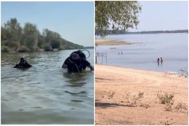 Plaja unde s-au înecat cei doi soți, neautorizată. Au ignorat semnul "înotul interzis" și au plătit cu viața