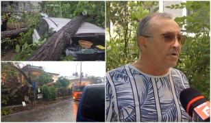 Peste 20.000 de copaci, un real pericol pentru locuitorii Capitalei. Mulţi riscă să cadă la prima furtună