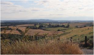 Fermierii din sudul Olteniei, neputincioși în faţa secetei: "Totul dispare". Ce culturi au fost compromise