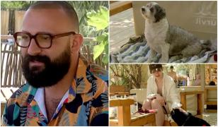 Plajele pet-friendly din România, luate cu asalt de turişti. Afacerea cu care Ştefan a dat lovitura