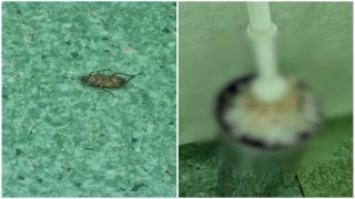 Primele măsuri luate la Floreasca, după acuzațiile unei paciente. Spitalul nu mai poate primi cazuri grave