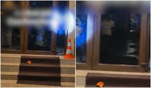 Turiști din Mamaia, terorizați de câinii unui patron de pensiune. Bărbatul le-a dat drumul să alerge pe hol