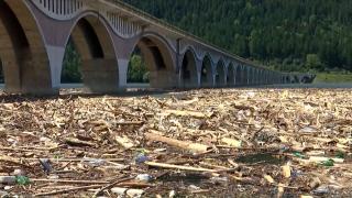 Risc epidemiologic pe lacul Bicaz, în Neamţ. Viiturile au adus tone de bușteni, animale moarte și deşeuri