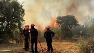 Europa se luptă cu flăcările: În Franţa, cel mai mare incendiu din ultimii 80 de ani a ars 17.000 de hectare