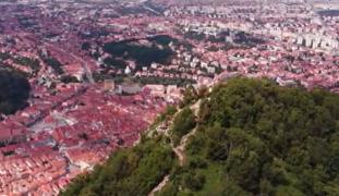 Plantarea copacilor scapă marile oraşe de poluare şi ar putea reduce semnificativ numărul de decese premature