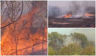 "Mamă, ne ia foc casa! Apocalipsa". Zeci de oameni din Clinceni au fugit din calea incendiilor de vegetaţie