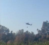 Incendiu de vegetaţie în Delta Dunării. Zeci de hectare au fost înghiţite de flăcări