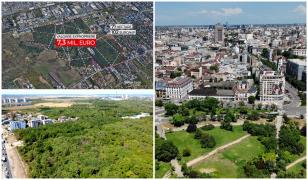 Pădurea urbană de lângă Bucureşti ar putea fi defrişată şi înlocuită de blocuri de 14 etaje
