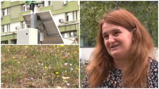 Proiect de 1 milion €, salvator pentru alergicii din România, blocat din lipsă de bani. Aerul e tot mai toxic