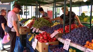 Morcovi din Olanda, usturoi din Ungaria şi mere din Italia. Dezastru în agricultură
