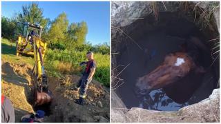 Misiune neobişnuită pentru pompieri, chemaţi să scoată un cal dintr-o fântână adâncă de 3 metri