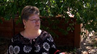 Cum s-a răzbunat un primar din Dolj pe sătenii care l-au criticat: "M-am trezit dimineaţă fără ea"