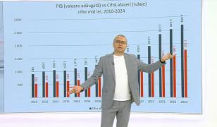 Cum a evoluat mediul de afaceri din România. Ponderea valorii adăugate în PIB a fost de 66% în 2024